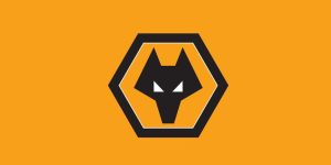 Wolverhampton Wanderers Bề Dày Lịch Sử Và Thành Tích 6 Wolverhampton Wanderers Bề Dày Lịch Sử Và Thành Tích